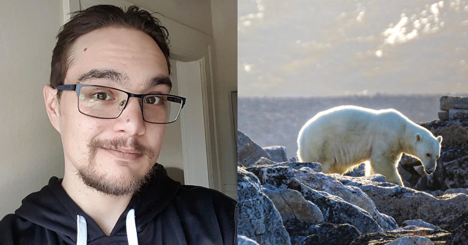 Photographer Mauled to Death by Polar Bears at Arctic Outpost