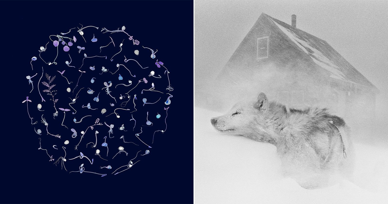 50 Photos From RPS Awards, the World’s Oldest Photography Prize