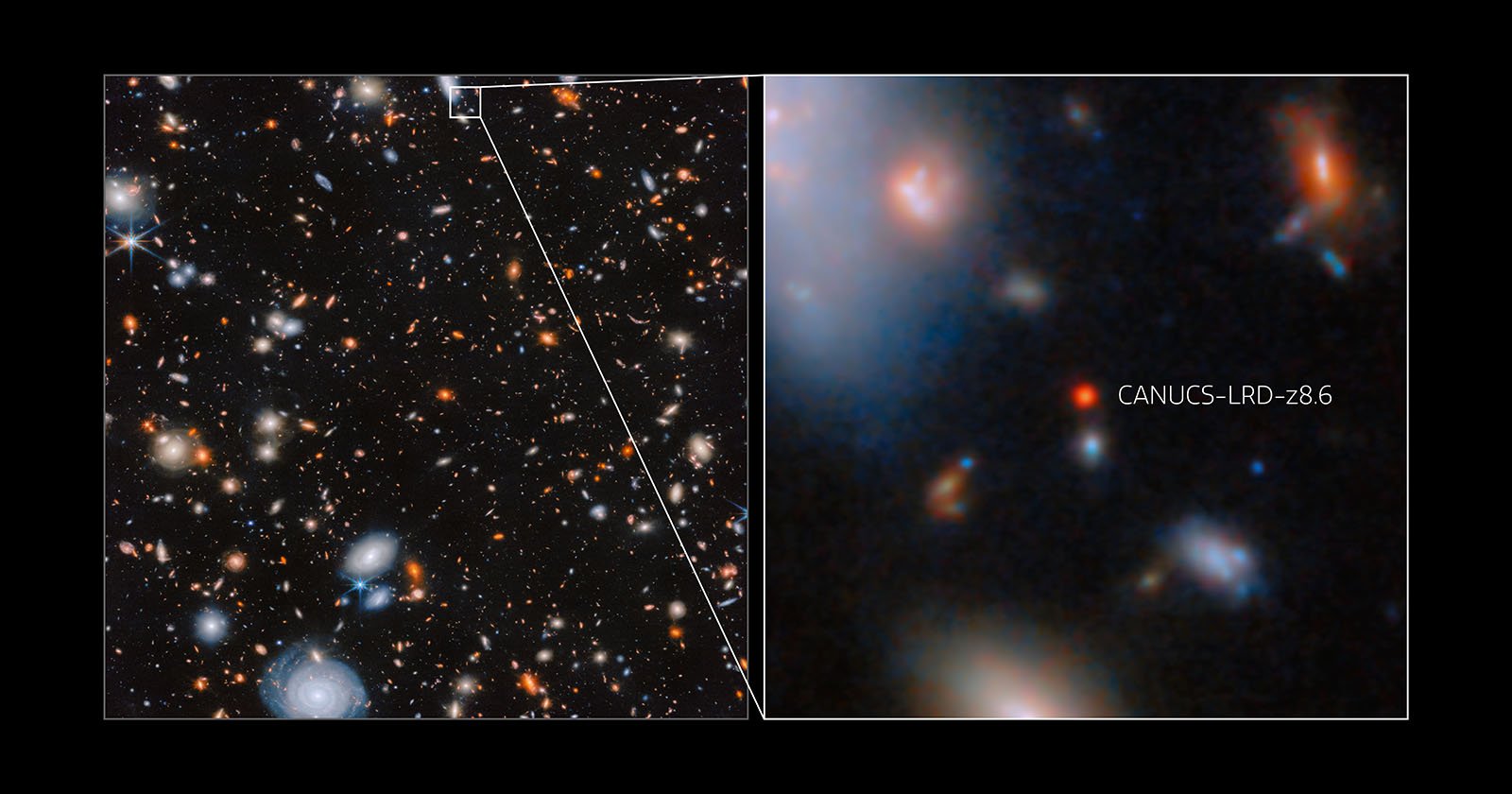 Webb Found an Ancient, Greedy Black Hole Growing Too Fast