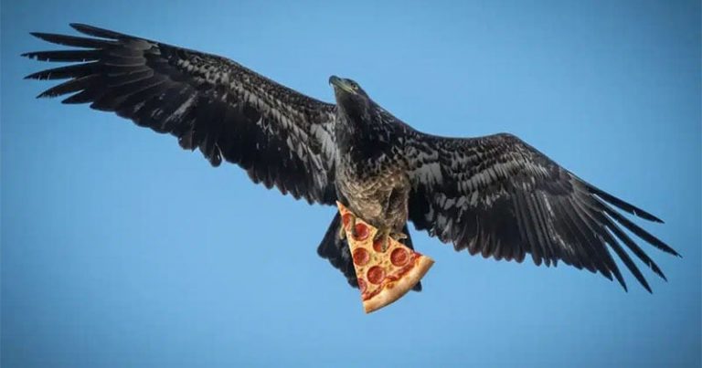 This Is the Stupidest Fake Photo of Something Interesting That Actually Happened