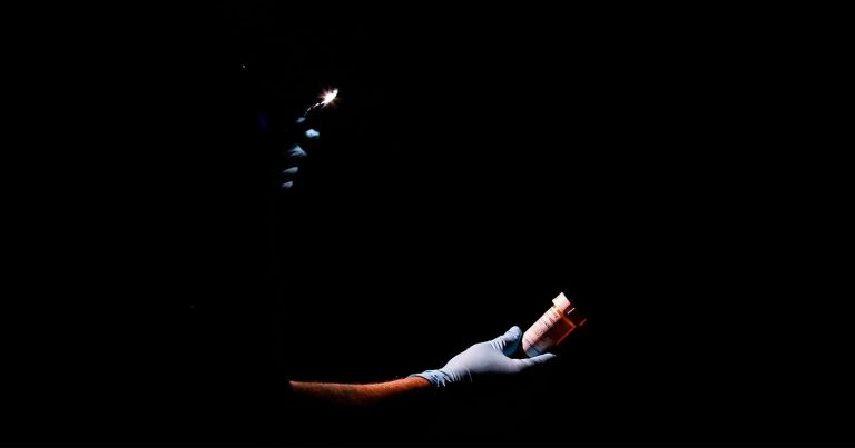 Photographer’s Raw Images Explore the War on Drugs