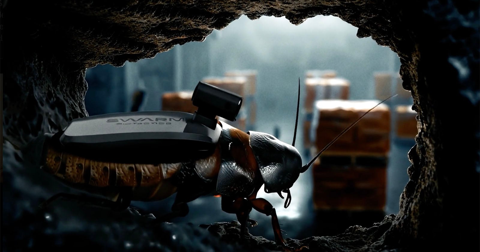 German Army Recruits Giant Cockroaches to Carry Cameras That Spy on the Enemy