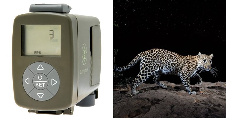 Camtraptions’ Celebrated Camera Trap Motion Sensor Is Now Even Better