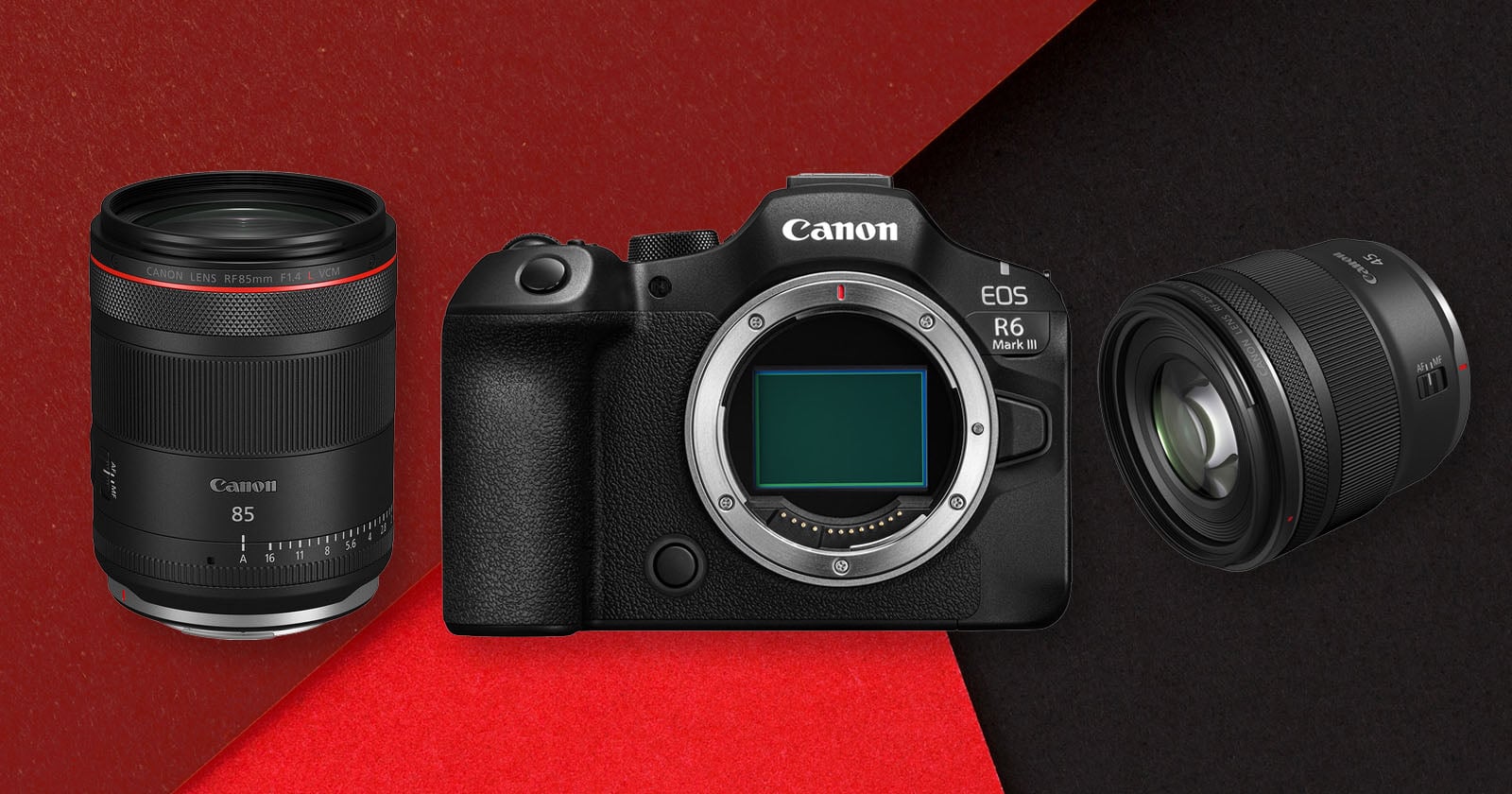 Canon in 2025: Fantastic R6 III Headlines a Strong Year for Canon