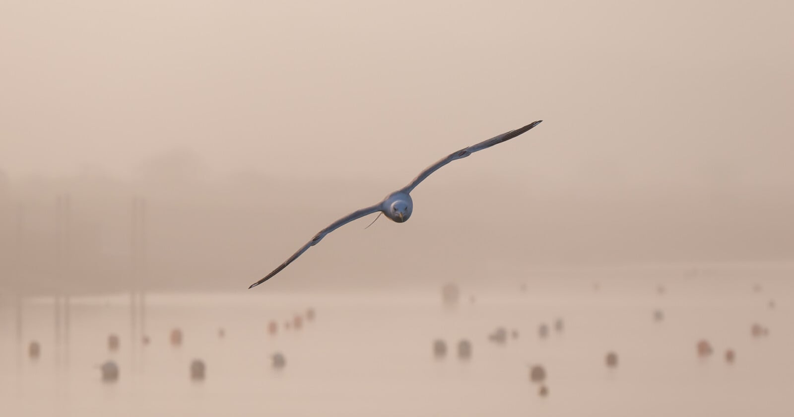 How to Be Precise With Your Photograph’s Depth of Field