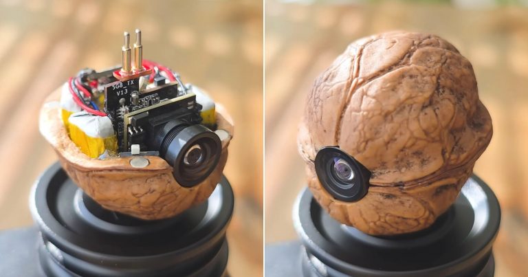 YouTuber Crams a Camera Inside of a Walnut