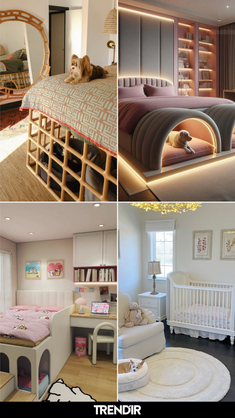 26 Pet Bedroom Ideas Once You Stop Letting Beds, Bowls, and Toys Float Everywhere