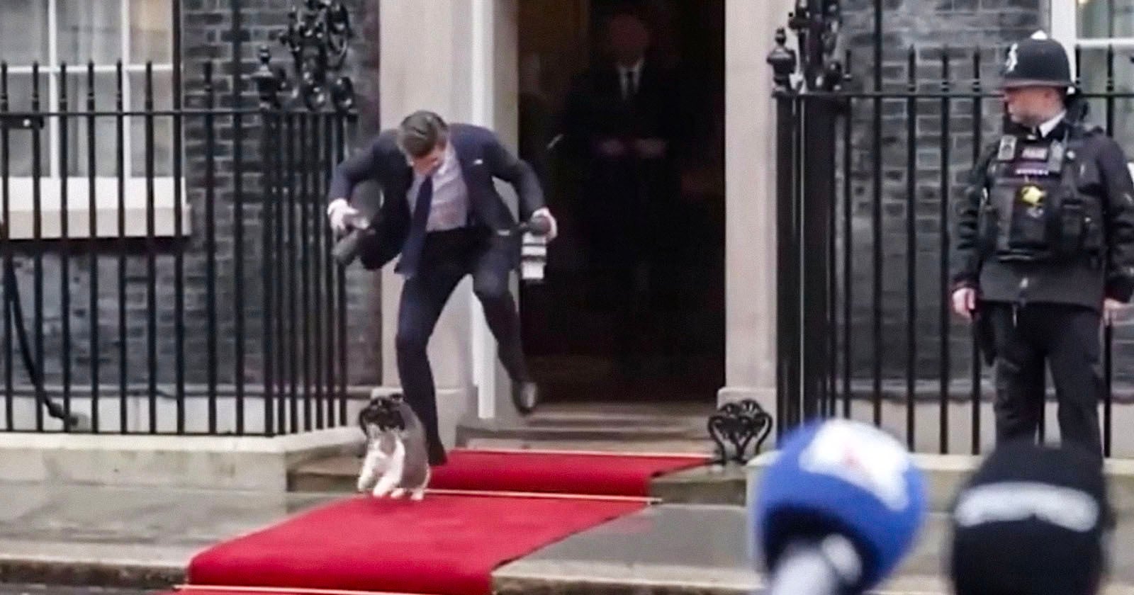 Larry the Cat Trips Up Polish President’s Photographer