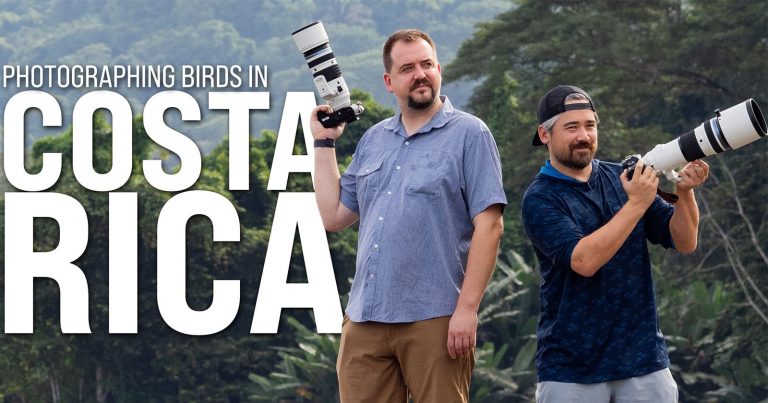 Photographing the Birds of Costa Rica with Chris Niccolls
