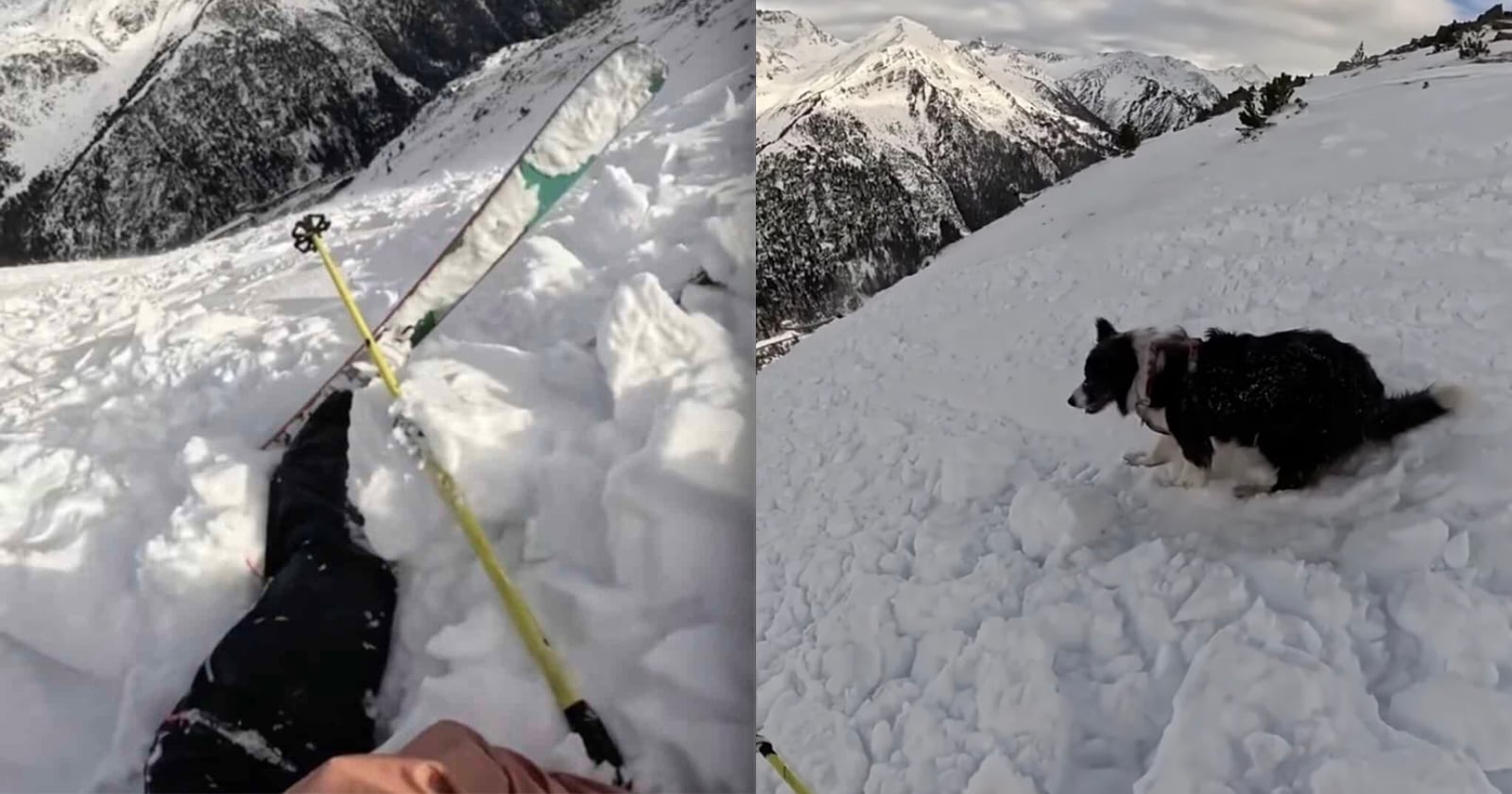 Helmet Camera Captures Moment Skier and Dog are Swept Away by Avalanche