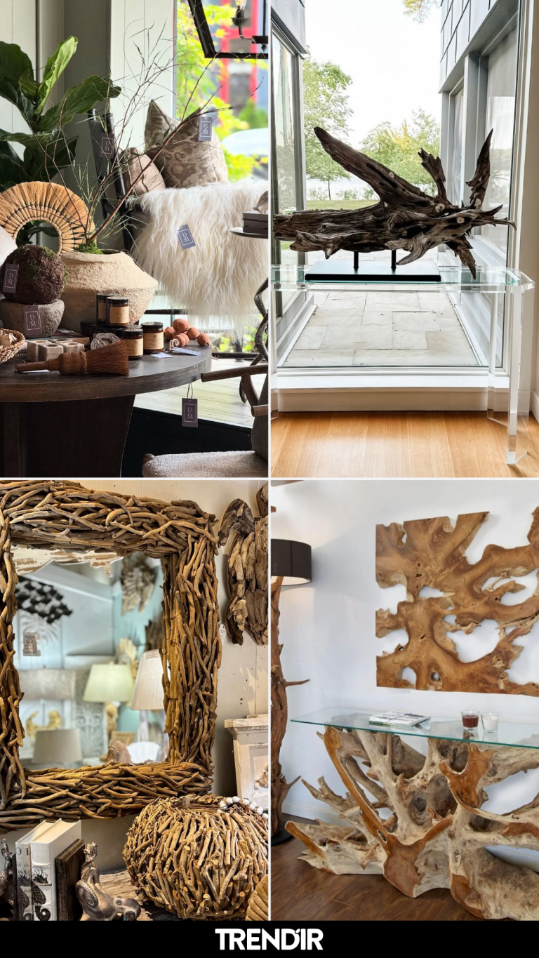 29 Driftwood in Home Decor Ideas That Make You Reconsider Every Smooth Surface You Own