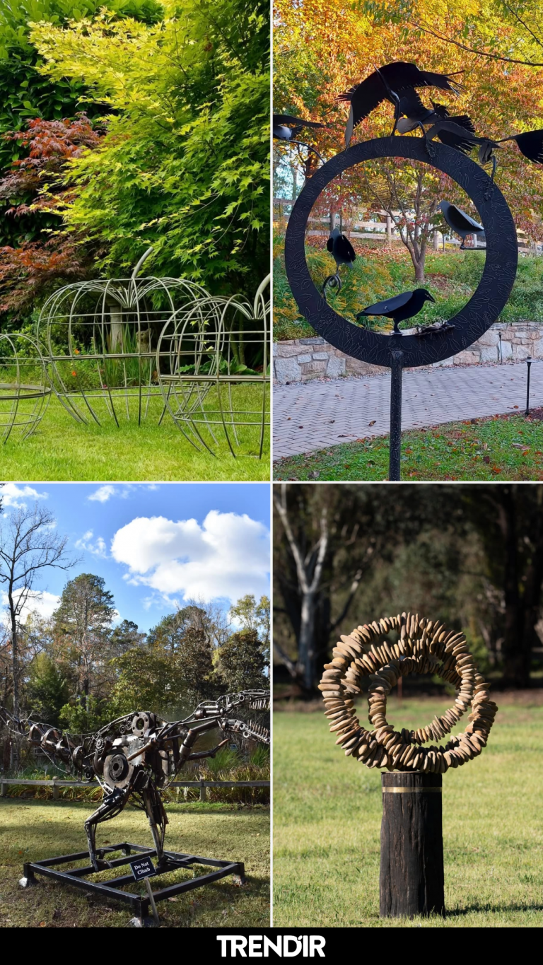 25 Garden Sculpture Ideas Bringing Zero Tolerance Precision to Modern Outdoor Design