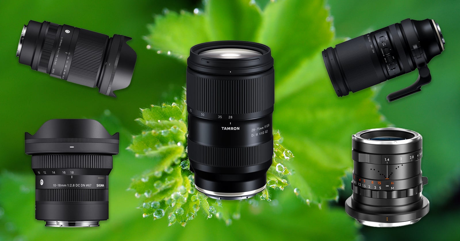 The Best Deals on Third-Party Lenses