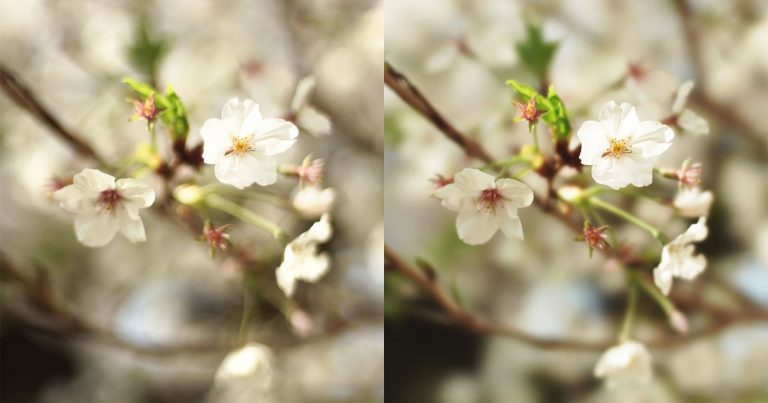 Japanese Company Modifies Lenses by Hand to Make Bokeh More Beautiful