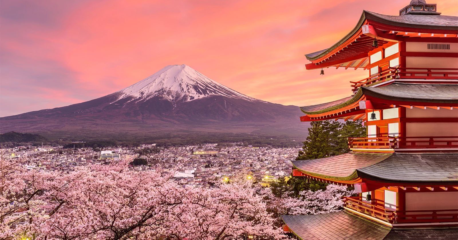 Mt. Fuji Cherry Blossom Festival Canceled Due to Misbehaving Tourists