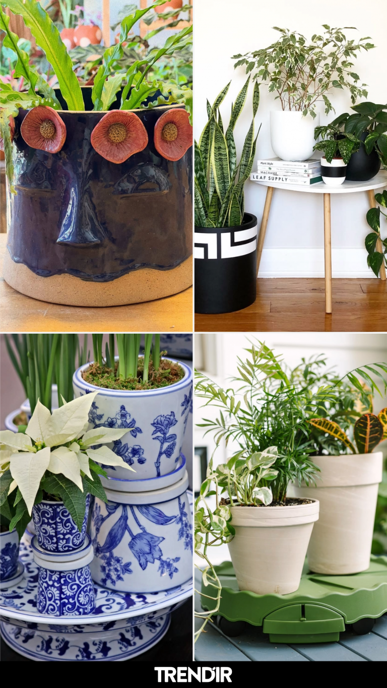 29 Houseplant Pot Ideas That Make Even a $5 Plant Look Like a Collector’s Specimen