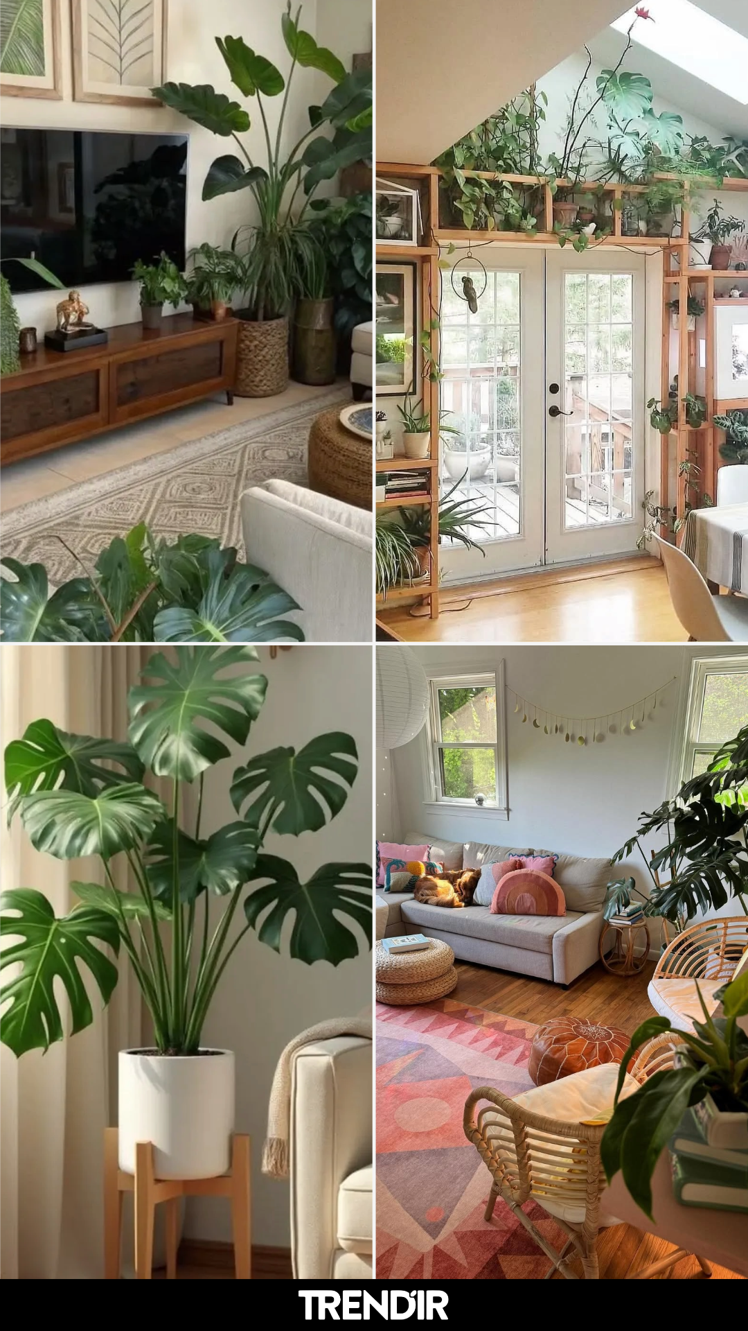 28 Houseplants Decor Ideas That Let Greenery Take the Lead in Your Interior