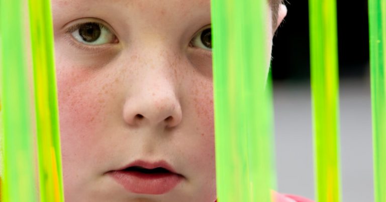 Light and Photography: How Light Changes the Colors of Your Photos