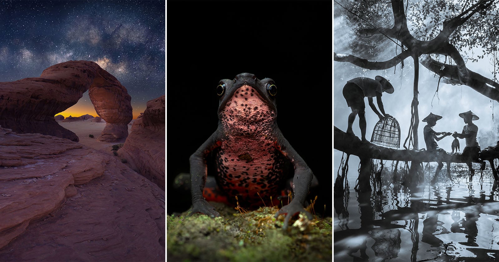 Sony World Photo Awards National and Regional Winners Showcase Global Photography Talent